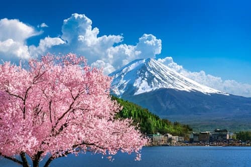 2 Day Tokyo & Mount Fuji Private Tour by Car | Hotel Pickup