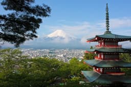 Mount Fuji Private Tour from Tokyo by Car (With Hotel Pickup)