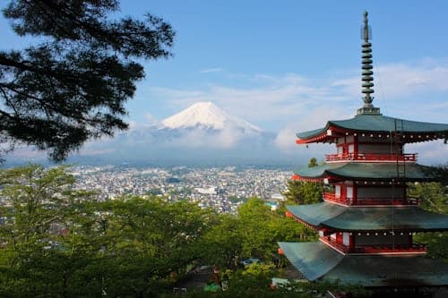 Mount Fuji Private Tour from Tokyo by Car (With Hotel Pickup)