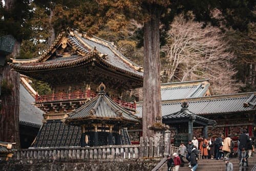 Nikko Private Tour from Tokyo by Car (With Hotel Pickup)