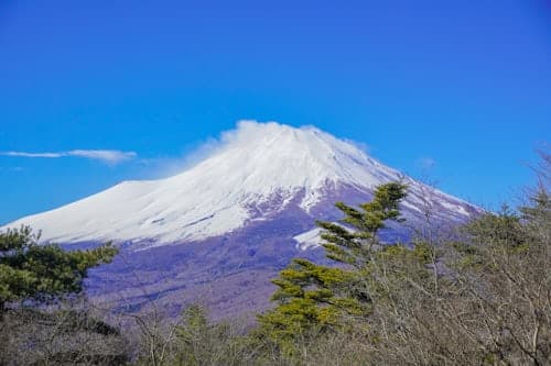 Mount Fuji & Gotemba Outlet Private Car Tour from Tokyo