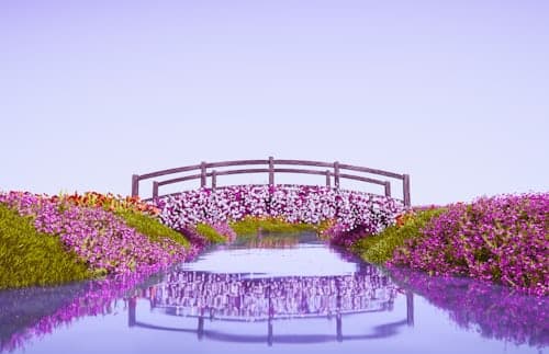Ashikaga Flower Park & Sano Premium Outlets Day Tour from Tokyo