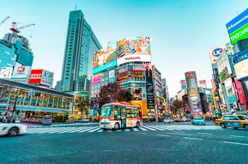 Tokyo & Nikko Heritage 2-Day Tour By Car | Hotel Pickup