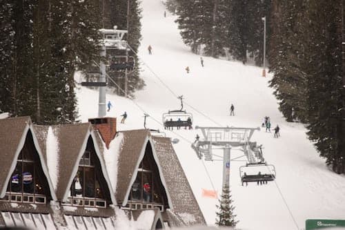 Private Snow Resort Tours from Tokyo | Niigata & Tochigi